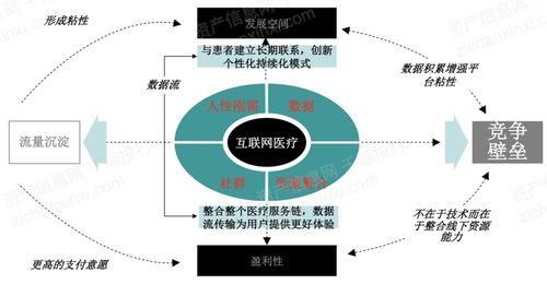 2023年互聯網醫療行業研究報告 互聯網信息服務