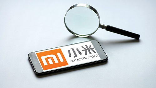 小米強(qiáng)化隱私保護(hù)與信息安全 第一優(yōu)先級(jí)的戰(zhàn)略布局與未來(lái)互聯(lián)網(wǎng)服務(wù)高舉高打